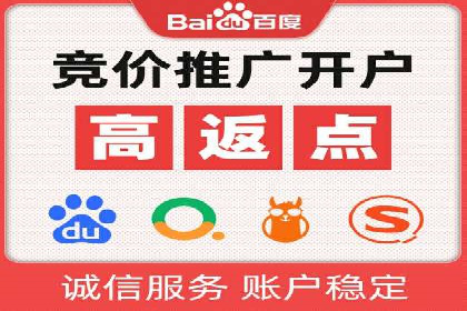 案例研究：SEM代运营服务公司的创新策略